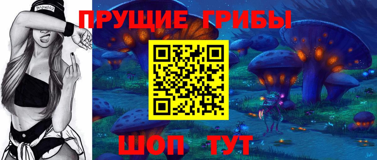 Псилоцибиновые грибы мицелий  Вход с VPN  Заринск 