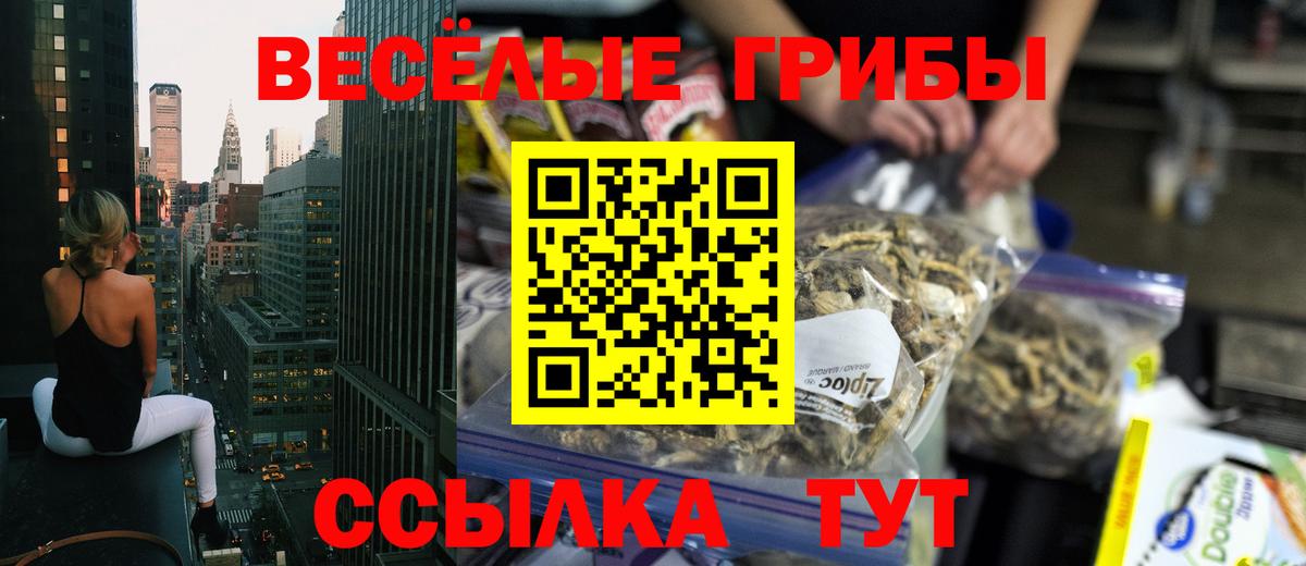 Псилоцибиновые грибы мицелий Заринск